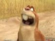 Супер прикольный мультфильм !!! Суслик жжет !!! Gopher broke .